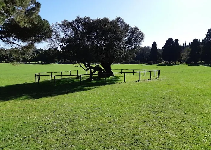 In Pula With Swimming Pool *